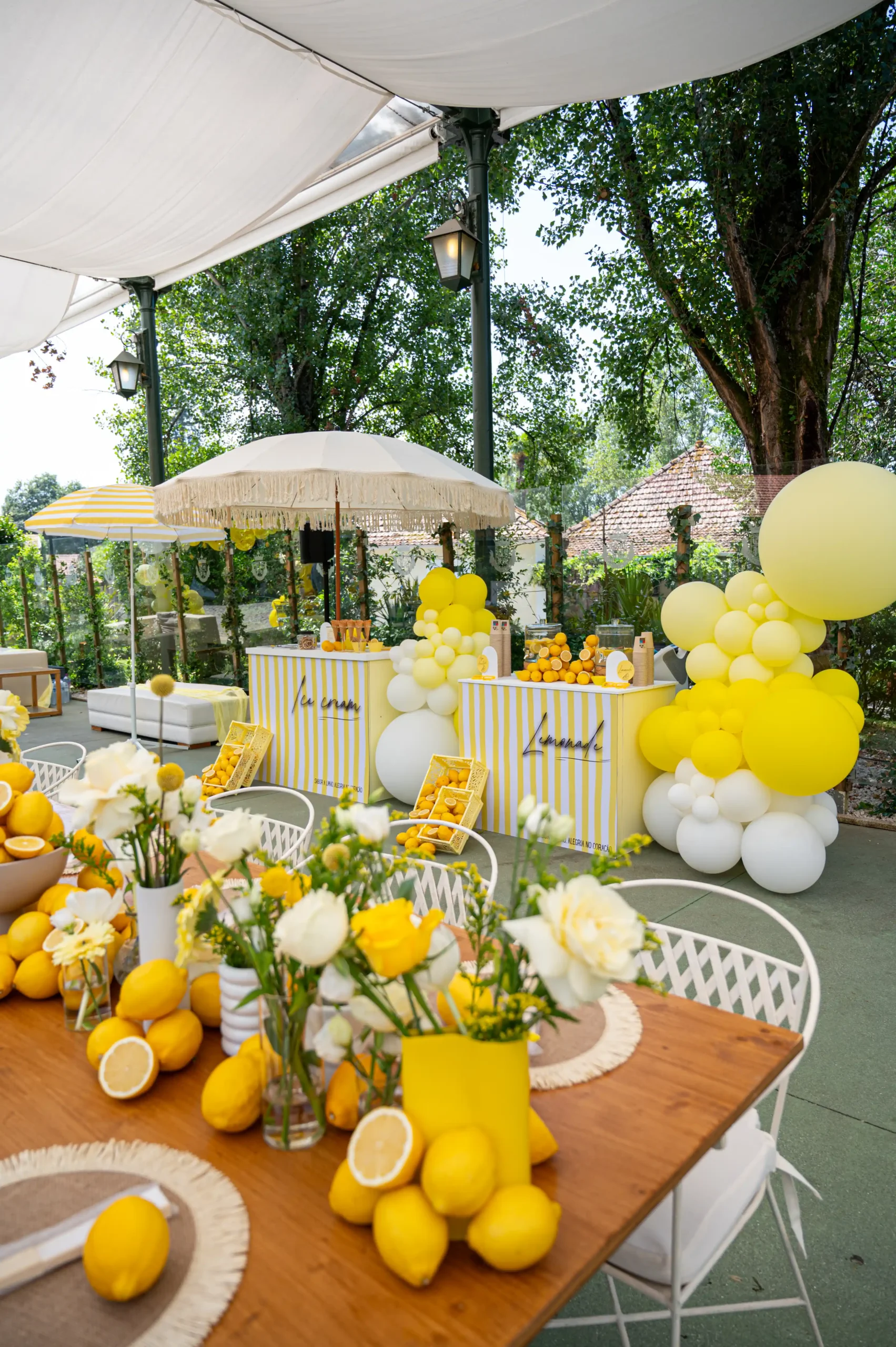 Decoração MiFestas com balões e cenário natalício